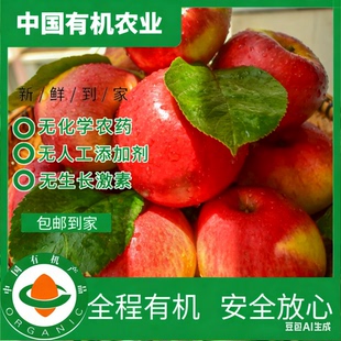 现摘现发脆甜多汁不打蜡孕妇宝宝 有机苹果红富士应季 25年新果