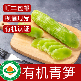 有机青笋 有机认证新鲜天然绿色蔬菜烹炒辅食脆嫩 莴苣3斤装
