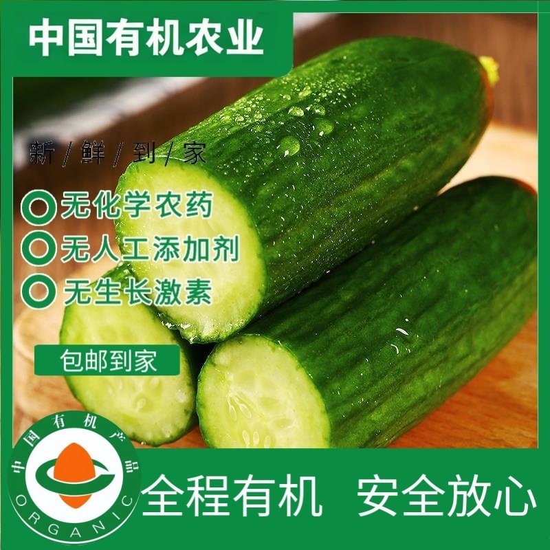 有机水果黄瓜5斤有机认证现摘现发新鲜蔬菜食用黄瓜天然种植,水产肉类/新鲜蔬果/熟食,黄瓜,淘宝优惠券,粉丝福利购,淘宝优惠卷