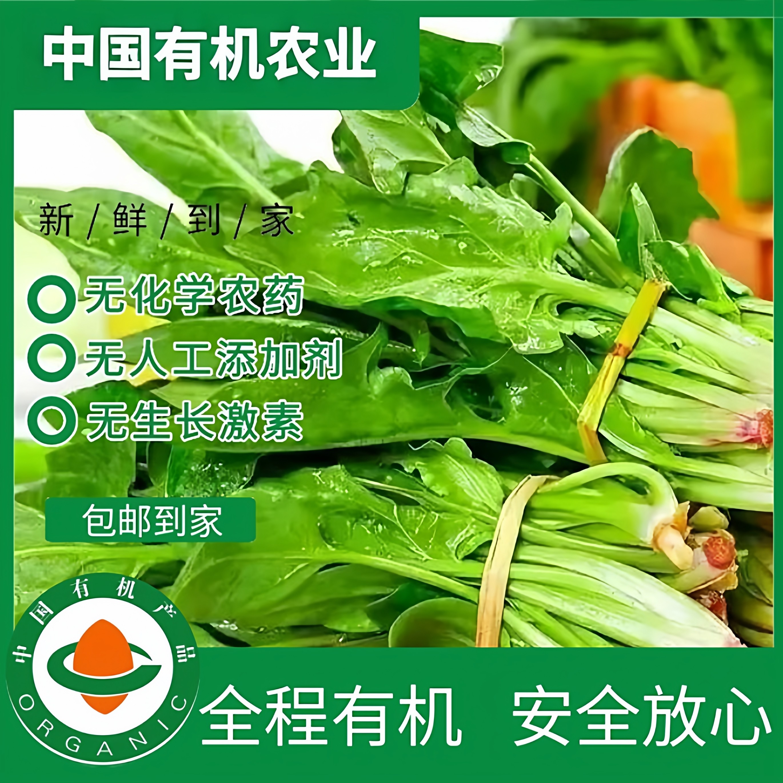 高原有机菠菜3斤，有机认证现摘现发不打药新鲜蔬菜绿叶菜天然,水产肉类/新鲜蔬果/熟食,叶菜类,淘宝优惠券,粉丝福利购,淘宝优惠卷