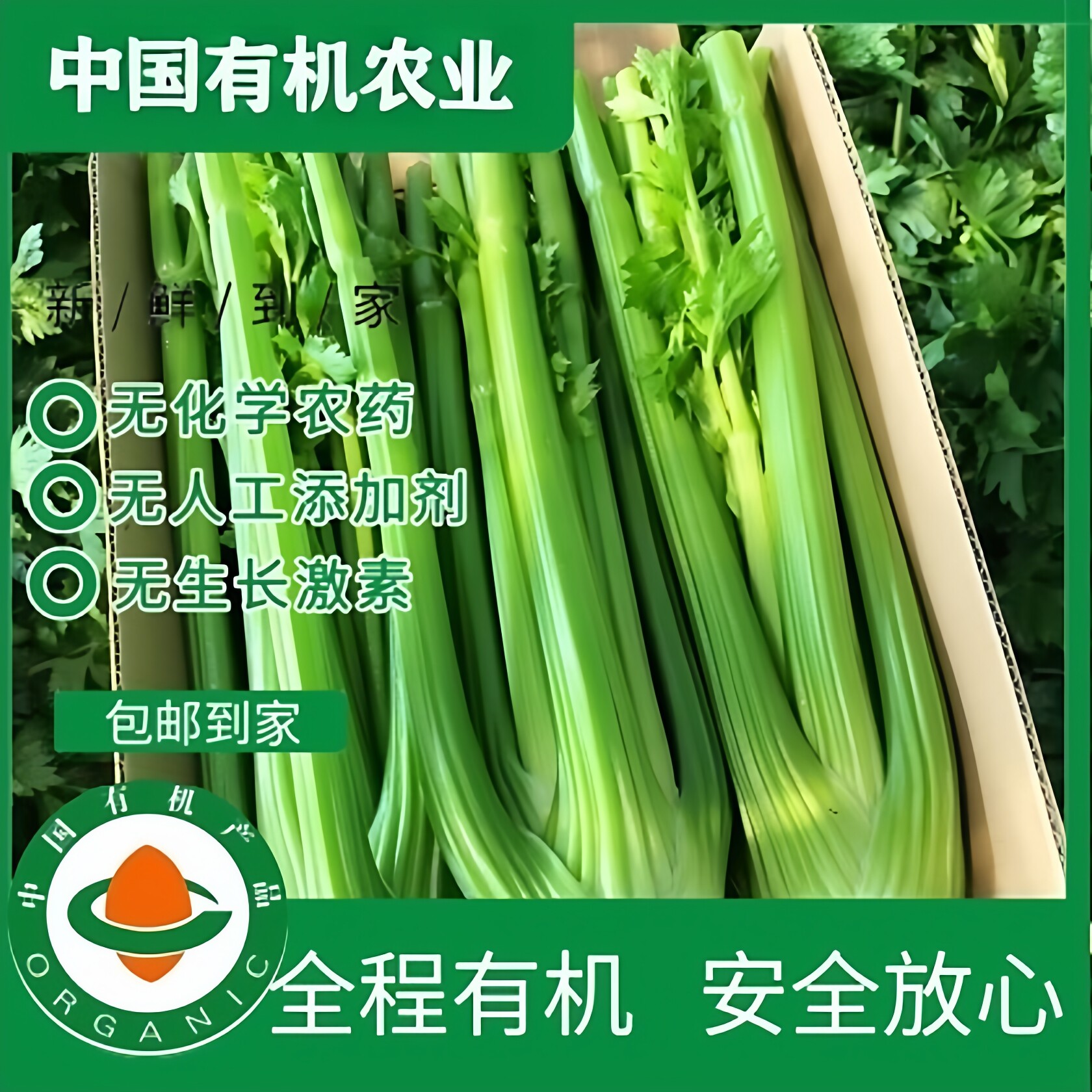 精品有机西芹5斤 有机认证无农残 露天种植榨汁专用微甜不苦顺丰
