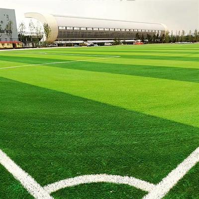 采购产品足球场专用人造草坪模拟草皮无填充砂人造草皮室外室内幼