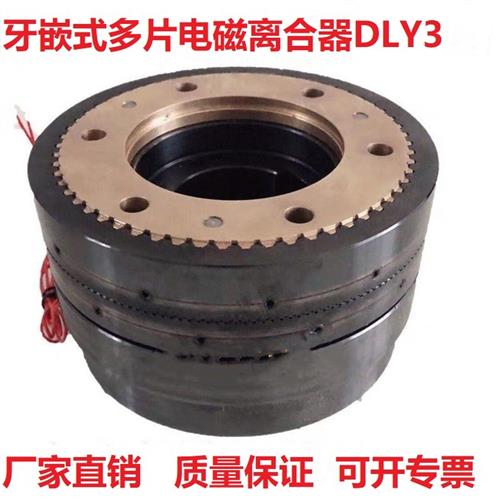 DLY3-5A25A41A63A100A200A牙嵌式电磁离合器多片湿式大扭矩机械24