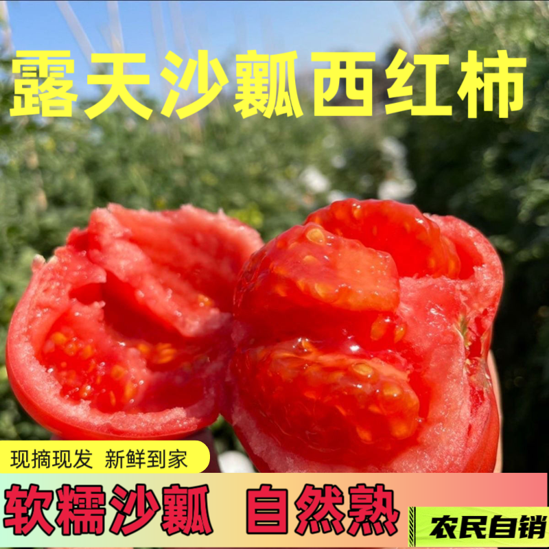 宁夏西红柿新鲜自然熟沙瓤生吃老品种粉果番茄非普罗旺斯铁皮草莓