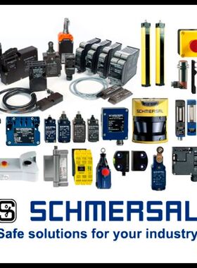【顺庆】Schmersal NWT21WS PS116Z11-STS【议价】