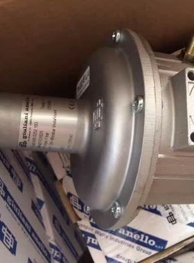 giuliani anello(朱丽安尼）FG1B25 DN【议价】