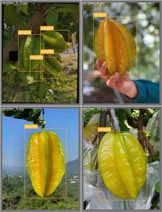 DL00569-基于yolov8的杨桃目标检测识别含数据集