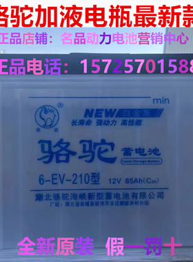 骆驼水电瓶6-EV210/220/240/285/320/D150D180型电动三轮车蓄电池