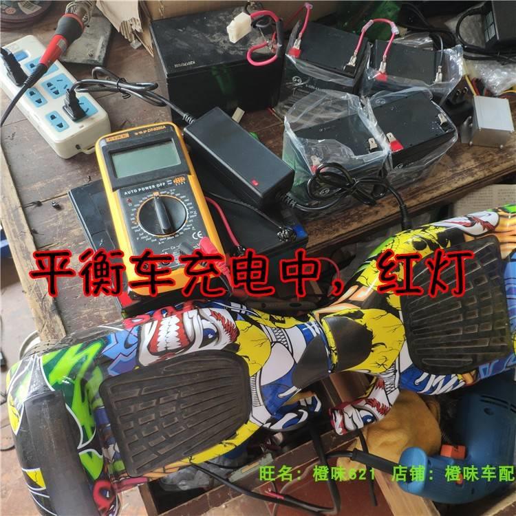 电动扭扭车漂移车充电器包邮 两轮平衡车专用锂电池火星车36V42V