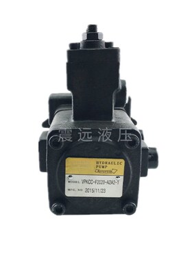 叶片泵VPKCC-F20m20-A1A1挤压机液压泵F1212/F0808-A3A3/A2A2