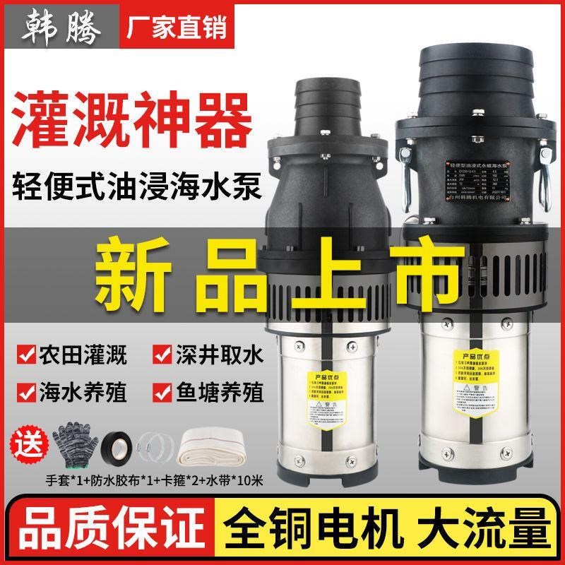 轻便型铜芯QY海水养殖潜水泵耐腐蚀38H0v抽水机农用大流量灌溉水