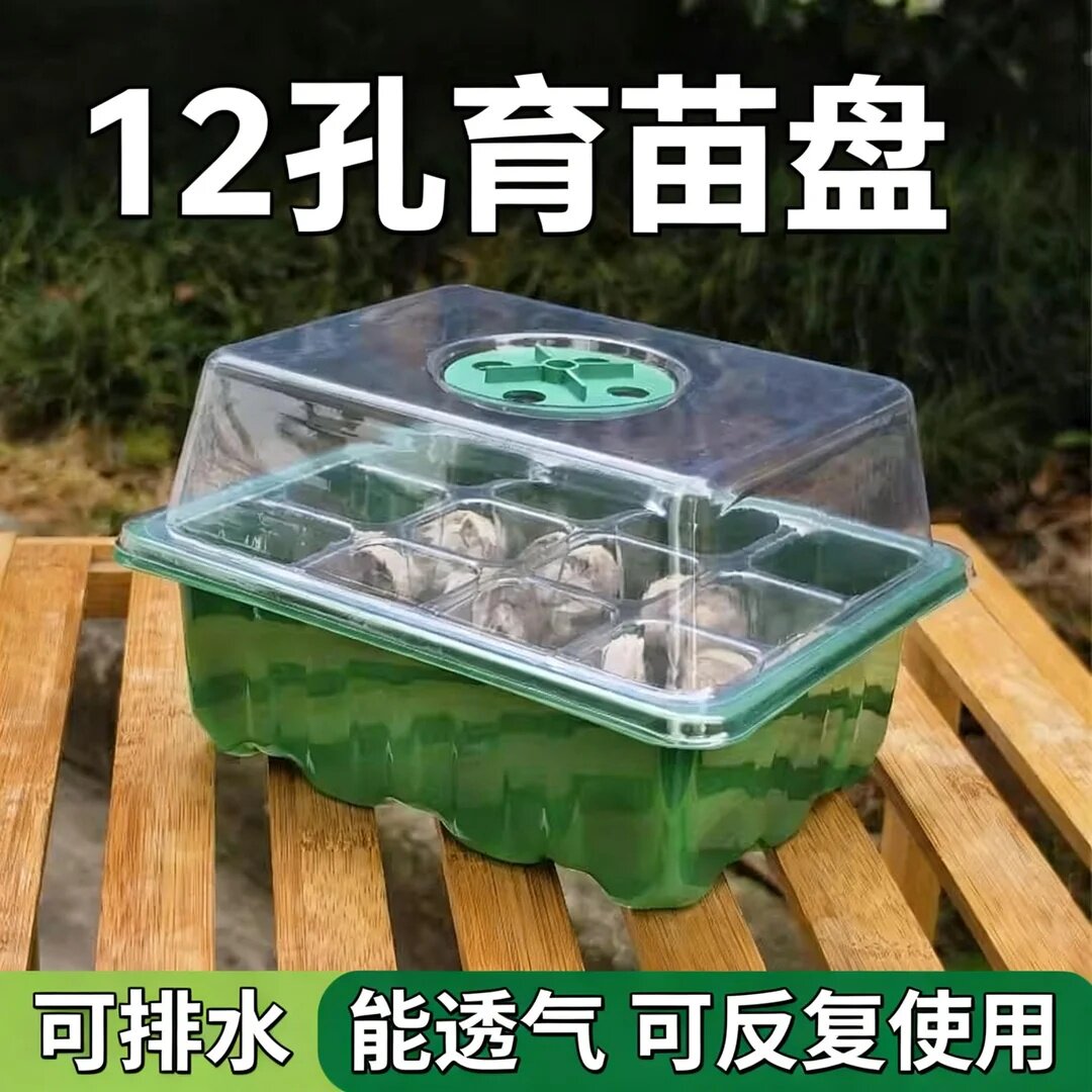 多肉叶插育苗盆三件套12孔育苗盒