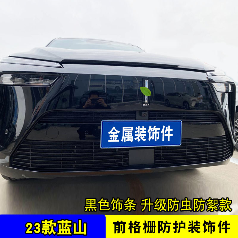 魏牌蓝山 DHT-kPHEV中网改装前脸格栅防护防虫网用品配件装饰亮条