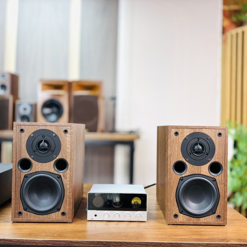 AE100+X10组合5寸音箱