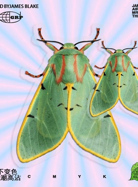 仿真昆虫翠绿色绿藻灯蛾玻璃镜面车尾箱油箱盖手机壳手账防晒贴纸