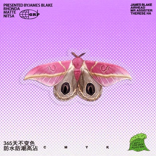 可爱粉红色大蚕蛾玻璃机箱镜面手账车门油箱盖平板防划防潮uv贴纸