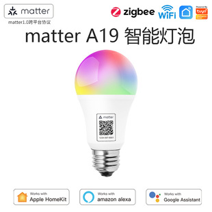 matter直连跨平台homekit智能灯泡assistant语音控制Alexa定时