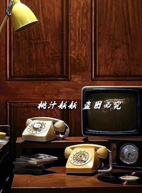 复古怀旧老物件布景装饰t摆件老式壁挂拨盘按键电话手摇胶木电话