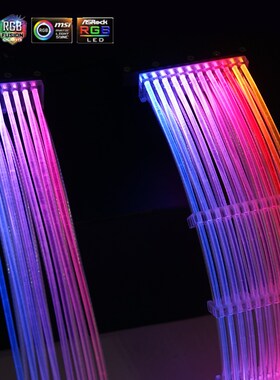 PC Case PSU Extension RtGB Cable, ATX 24Pin + PCI-E GPU 8Pin