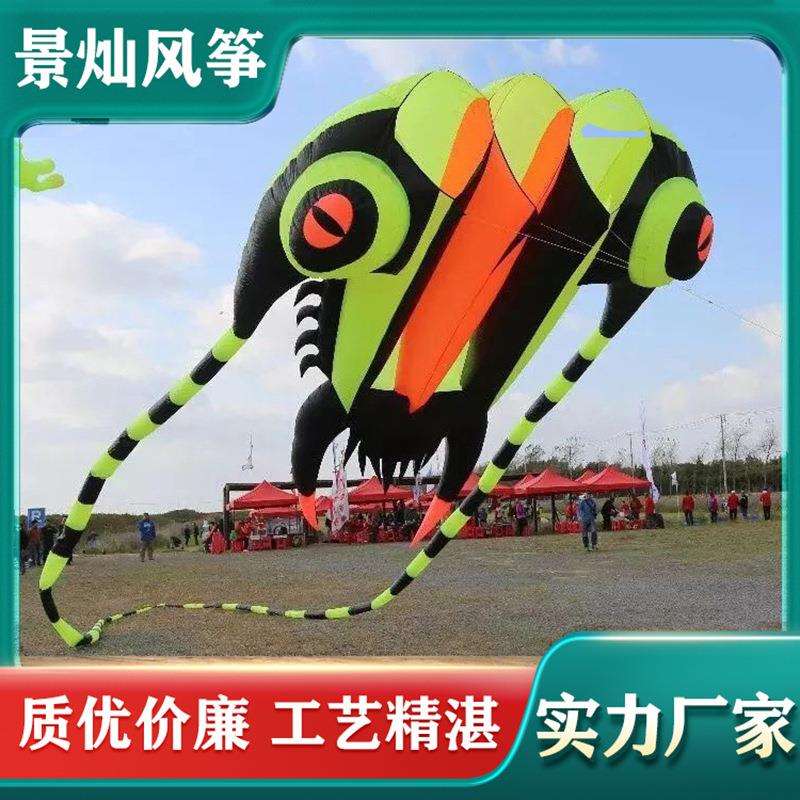 风筝手工手绘 大型成人立体户外民间特色放飞风筝