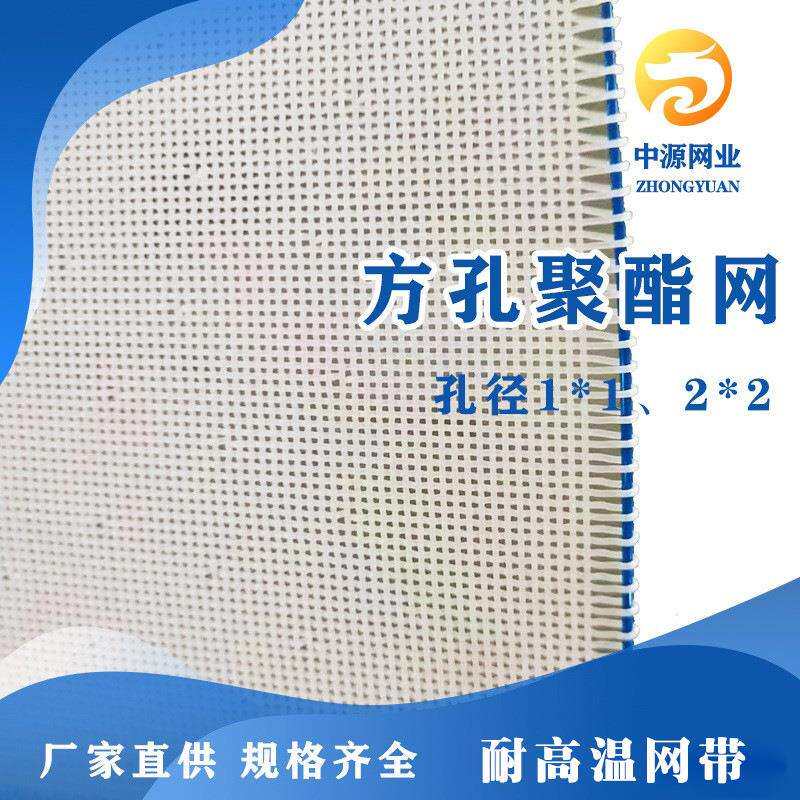 工厂直供多层烘箱网格带食品烘干机方孔聚酯网铁粉胶体筛分过滤网
