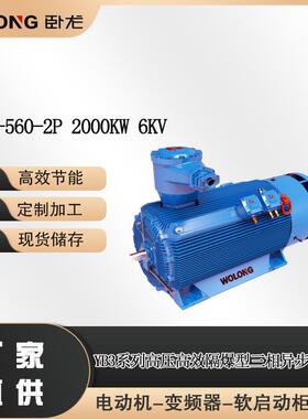 YB3-560-2P2000W6V三相绕线型转子交流异步F防爆电动机
