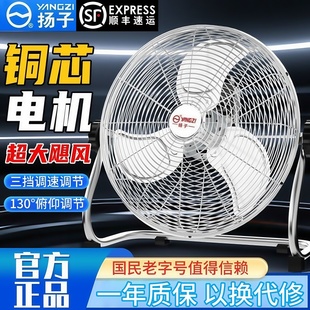 商用落地扇大风力强劲家用风扇 扬子工业电风扇趴地扇大功率台式