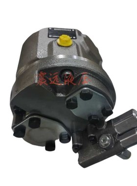 AA10VO45DFR/31L-VUC11N0 R9024L53623液压变量泵柱塞油泵