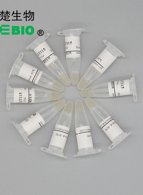 包邮 包乾冰 JM110化学转化感受态D细胞 大肠杆菌10支20支50支