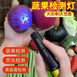 德国紫光灯鉴定疏菜检蓝矾蓝光波尔多液荧光剂365nm紫外线检测灯