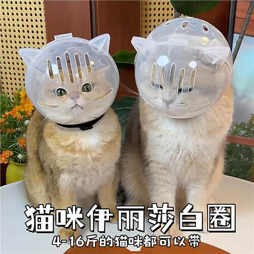 猫咪伊丽莎白圈幼猫成猫通用剪指甲上药头套防舔防咬球形太空头罩