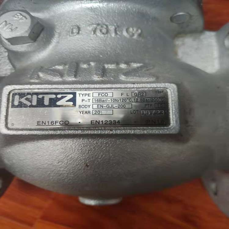 KITZ旋启式止回阀_开滋旋启式止回阀_EN16FCO铸铁旋启式止回阀