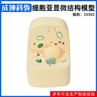 厂家供应 细胞亚显微结构模型 细胞器细胞核初高中普教生物模型