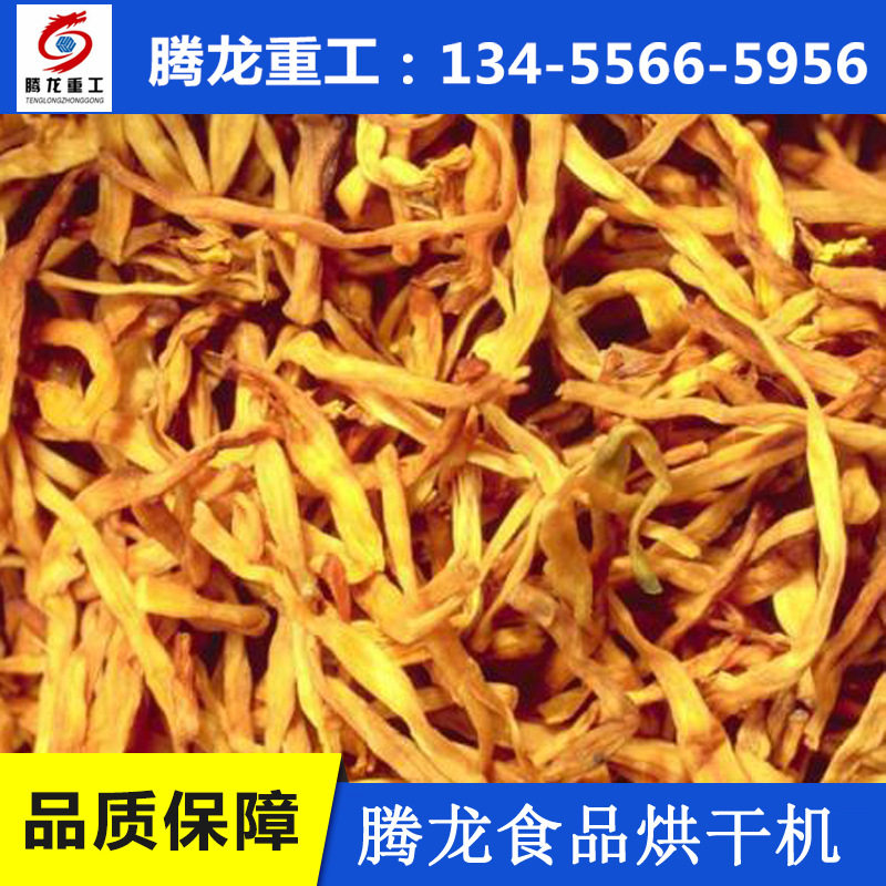 甘肃青海台湾内蒙古蔬菜烘干设备福建江西山东河南蔬菜烘干设备