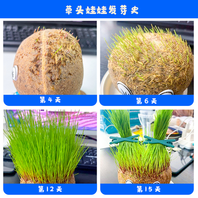 极速草头娃娃小盆栽浇水头上长头发儿童I种植可爱植物种草娃娃长