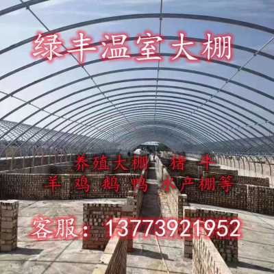 极速厂促全套棚钢管棚猪圈养x大椭圆猪舍养鸡场保温鹅管P大养殖骨