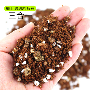 极速爬宠椰e土乌龟冬眠土寄居蟹专用饲养箱巴西龟蜘蛛用品椰砖蜗