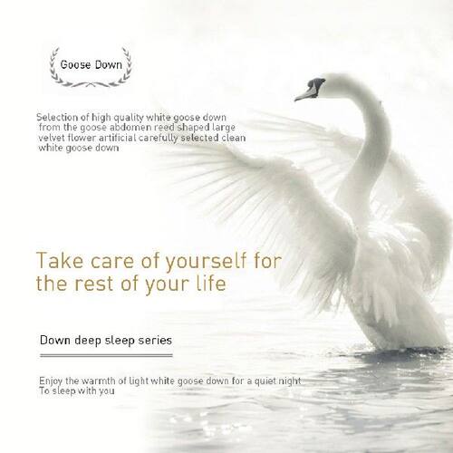 新品Liv-Eesthete White Goose Down Pillow Down-proof King Que