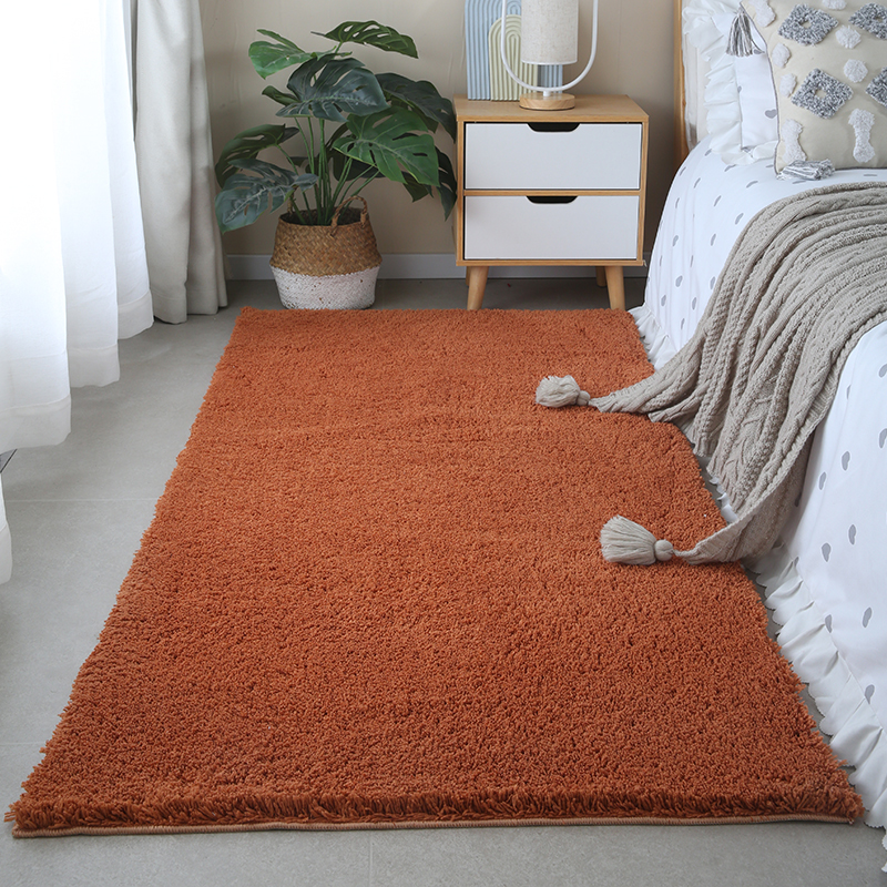 极速加厚毛绒地毯卧室床边毯x主卧满铺大面积可机洗定制客厅沙发