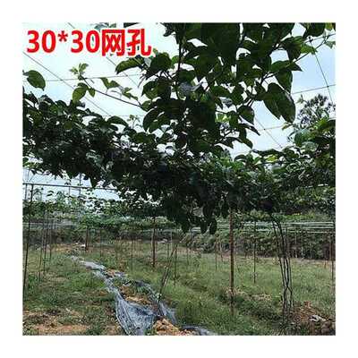 极速百香果吊果挂果搭架专用爬藤网瓜果豆类罗Q汉果网豆角大棚网