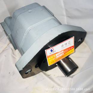 B1L齿轮泵 钻机动力头马达CBL5200 多种规格