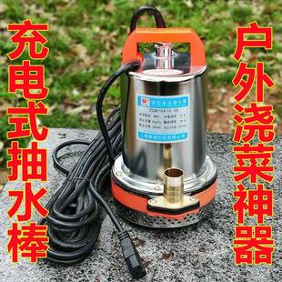 ALI624v直流潜水泵电瓶车浇菜抽水电车抽水泵户外刷车棒24V农用水