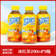 290ml 9瓶冰红茶清新解腻解渴迷你小瓶便携饮料饮品
