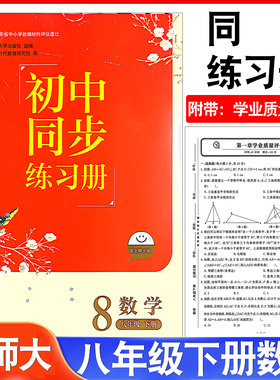 初中同步练习册数学八年级下册