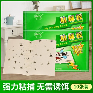 猫山王家用苍蝇贴粘蝇纸批发粘蚊板苍蝇纸引诱剂1片支持一件代发