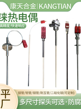 C型D型钨铼热电偶 耐高温0-2300℃钼管钽管钨管刚玉WRe5-26真空炉