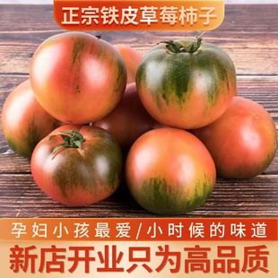 草莓柿子西红柿新鲜自然熟铁皮柿子盘锦碱地生吃水果丹东番茄5斤