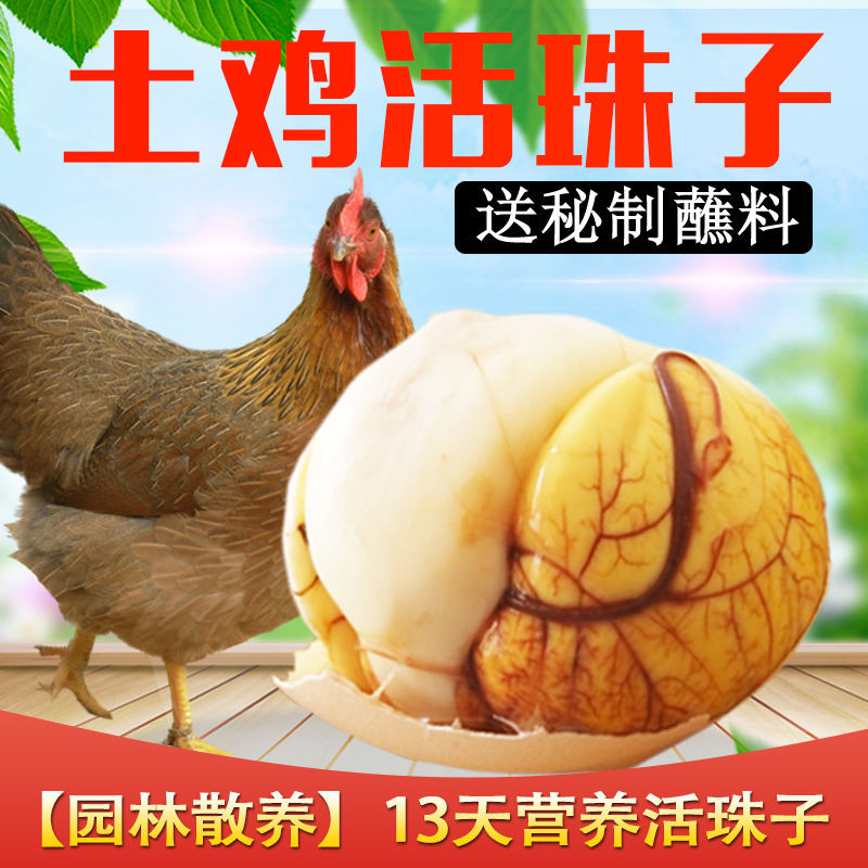 五香味40枚新鲜13天活珠子鸡胚蛋开袋即食熟钢化蛋毛鸡蛋香辣麻辣