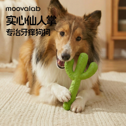 MoovaLab狗狗玩具洁齿磨牙仙人掌