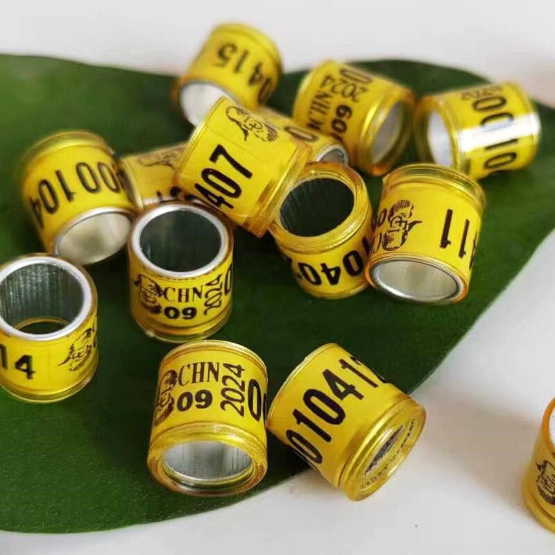 速发2环25年0一环鸽子脚统信鸽用品用具足环记号环鸽子用品鸽环